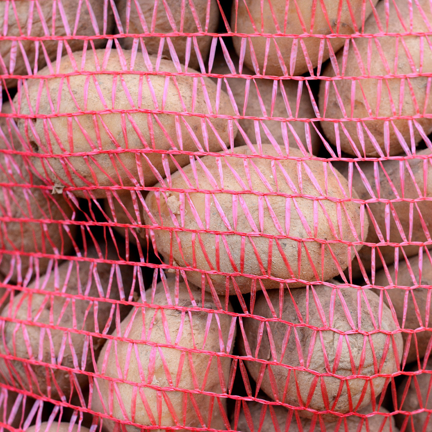 Saco Raschel rojo 5 kg