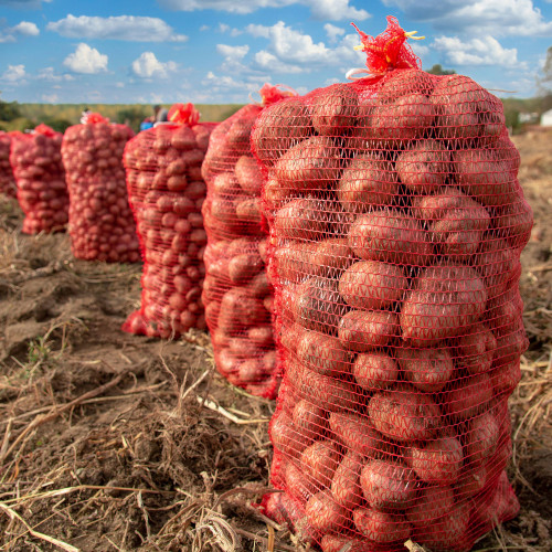 Saco Raschel rojo 35 cm x 58 cm 10 kg
