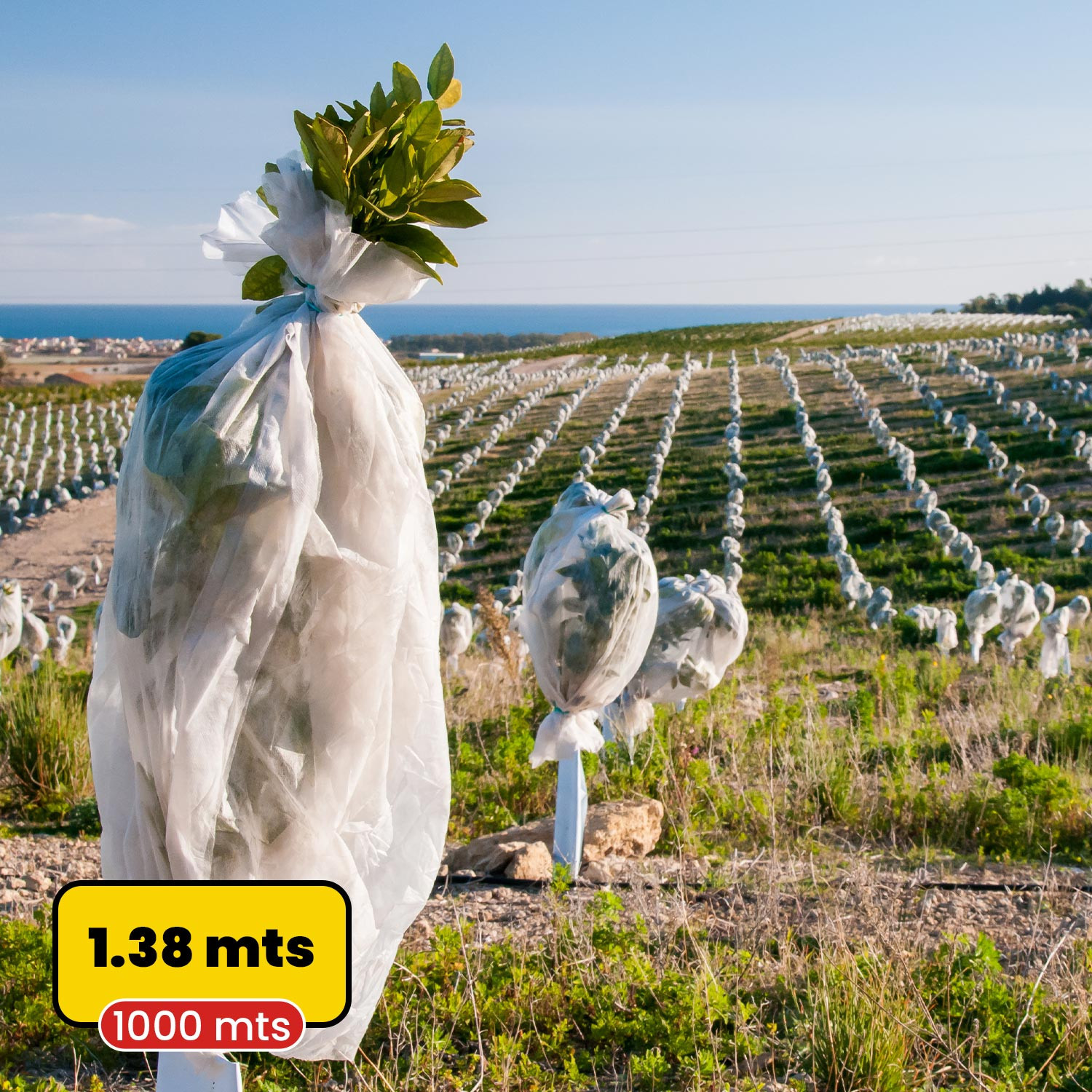 Tela anti heladas blanca 1.38mx1.000m